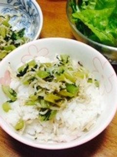 大根の葉としらすの簡単炒め-レシピのメイン写真