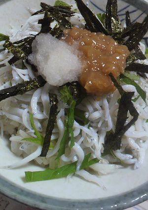 しらす干し丼★梅干、大葉、大根おろし-レシピのメイン写真