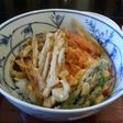 簡単野菜天丼