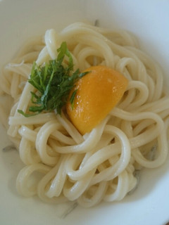 主婦の一人ランチ☆塩レモンうどん-レシピのメイン写真