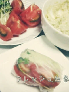 フレッシュ生春巻き-レシピのメイン写真
