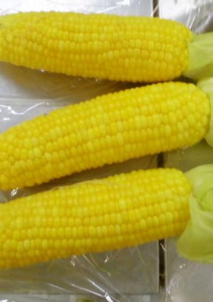 トウモロコシ☆美味しく食べよう-レシピのメイン写真