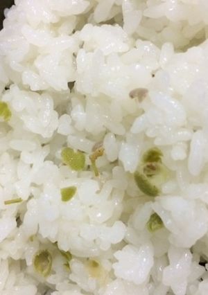 山椒の実のごはん-レシピのメイン写真