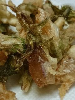 ホタルブクロの花の天ぷら-レシピのメイン写真