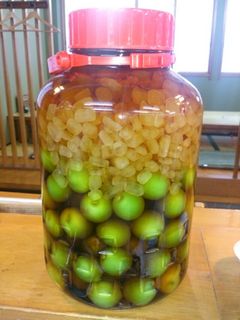 ブランデーで!手作り梅酒-レシピのメイン写真