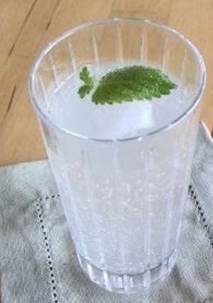 梅ジュース-レシピのメイン写真