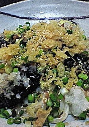 ぶっかけうどん☆揚げ茄子ﾊﾞｰｼﾞｮﾝ-レシピのメイン写真