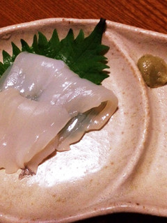 旬の朝採りイカをお刺身で-レシピのメイン写真