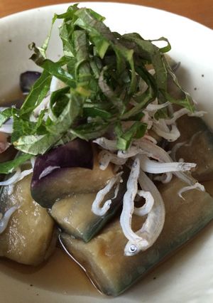 なすの煮浸し-レシピのメイン写真