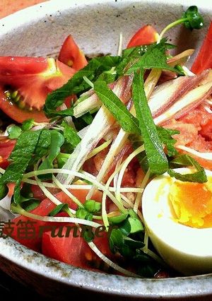 冷んやり♪トマトシャーベットうどん-レシピのメイン写真