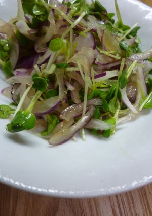 紫玉ねぎとかいわれ菜のサラダ-レシピのメイン写真