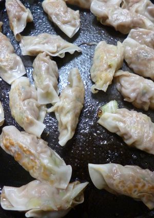 もやし入り・焼き餃子-レシピのメイン写真