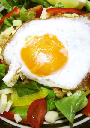 豆腐ｄeヘルシー☆彩りタコライス♪-レシピのメイン写真