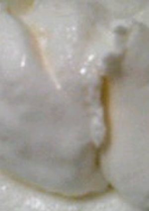 ママの味♪ミルキーアイス-レシピのメイン写真