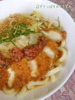 梅でさっぱりカツうどん-レシピのメイン写真