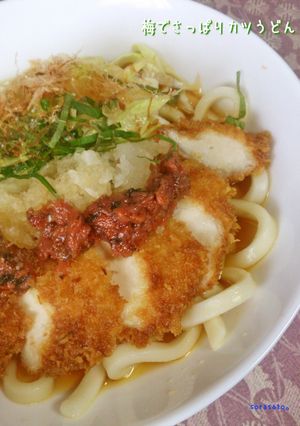 梅でさっぱりカツうどん-レシピのメイン写真