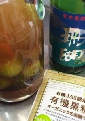 黒糖梅酒-レシピのメイン写真