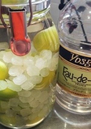 梅酒-レシピのメイン写真