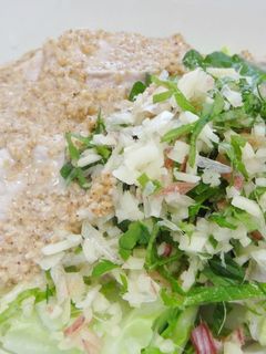 春キャベツ豚しゃぶ冷蕎麦-レシピのメイン写真