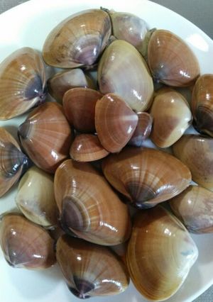 潮干狩り!バカ貝の砂出し-レシピのメイン写真
