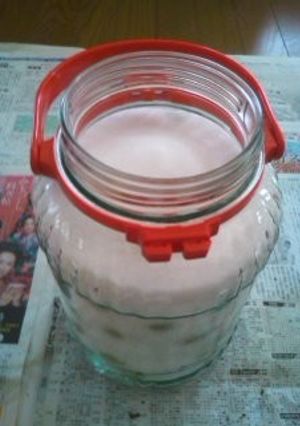 梅ジュース-レシピのメイン写真