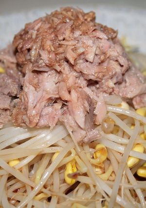 旦那のもやし料理-レシピのメイン写真