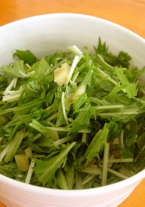 ぬか漬けと水菜のサラダ-レシピのメイン写真