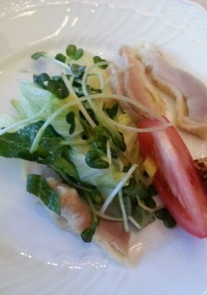 簡単さっぱり塩鶏サラダ-レシピのメイン写真