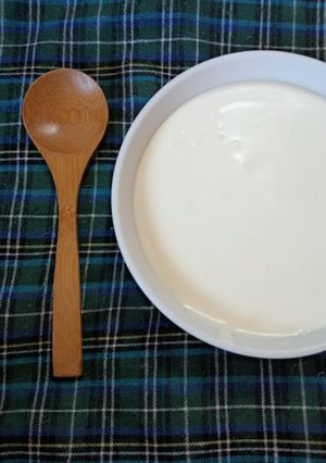 ☆スプーンで食べる濃厚レアチーズ☆-レシピのメイン写真