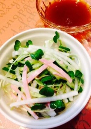 千切り野菜のワサビドレッシングサラダ-レシピのメイン写真