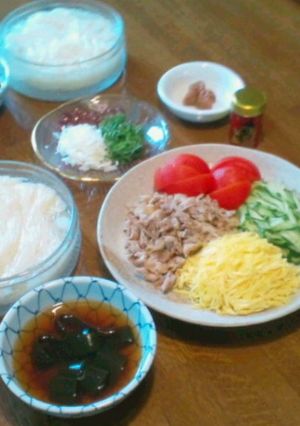 夏バテ知らずの具沢山そうめん-レシピのメイン写真