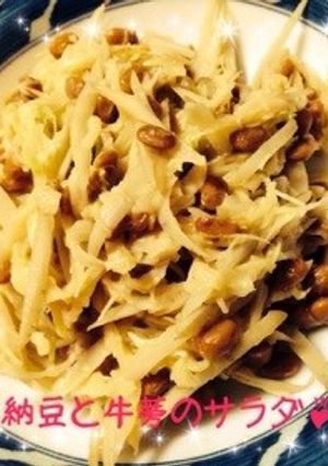 簡単美味しい❁納豆と牛蒡のサラダ❁-レシピのメイン写真