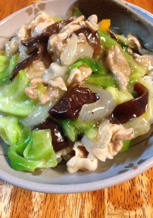 豚薄切り肉とキャベツのあんかけご飯-レシピのメイン写真