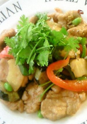 豚ヒレ肉と彩り野菜の乾炒♪-レシピのメイン写真