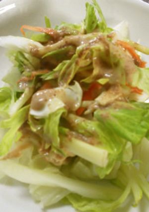 野菜のゴマダレサラダ風-レシピのメイン写真