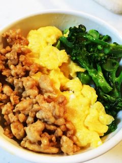 お弁当にも☆ごま油香る鶏そぼろ三色丼-レシピのメイン写真