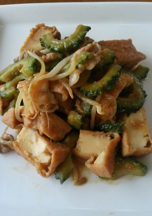 ゴーヤと豚肉と厚揚げの味噌炒め-レシピのメイン写真