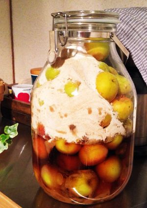 梅酢ドリンク★毎年恒例-レシピのメイン写真