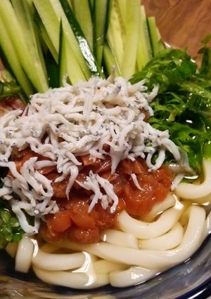 夏バテ防止！冷やし梅しらすうどん＾＾b-レシピのメイン写真