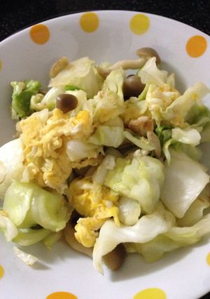冷蔵庫お掃除に★うちの野菜炒め-レシピのメイン写真