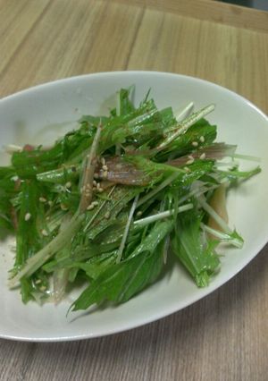みょうがとみず菜の和えただけ-レシピのメイン写真