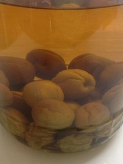 自家製果実酒 芋焼酎梅酒 甘さ控えめ-レシピのメイン写真