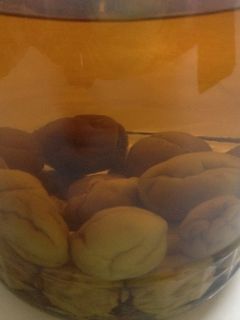 自家製果実酒 泡盛梅酒 甘さ控えめ-レシピのメイン写真