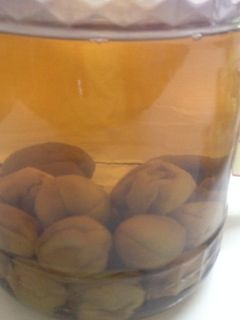 自家製果実酒 紫蘇焼酎梅酒 甘さ控えめ-レシピのメイン写真