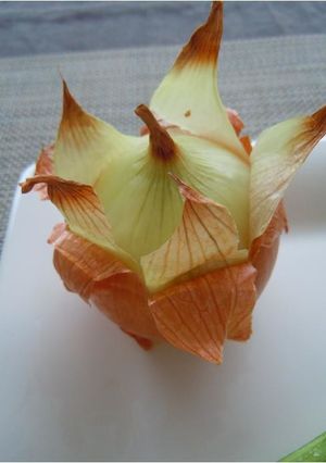 うちの皮つき玉ねぎ丸ごと焼き-レシピのメイン写真