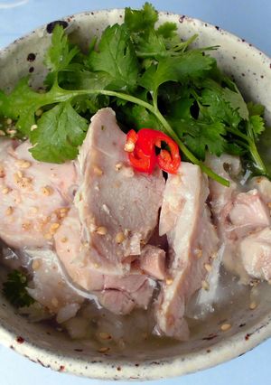 暑い日に！シンガポールチキン冷や汁-レシピのメイン写真
