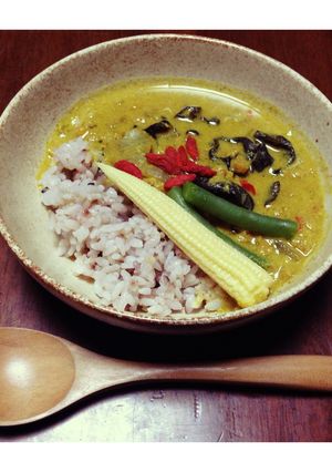 (･ε･)薬膳？ソイカレー-レシピのメイン写真