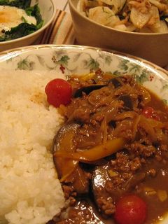 茄子と挽肉のカレー-レシピのメイン写真