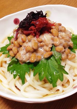 ランチにピッタリ★簡単ぶっかけうどん-レシピのメイン写真