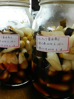 らっきょうの酢醤油漬け-レシピのメイン写真